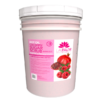 Large 5-gallon bucket of Hot Oil Sugar Scrub Bucket in raspberry pomegranate scent, with product details visible.