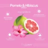 Image of a product label featuring Pomelo & Hibiscus Energy with key ingredients: Hibiscus Flower Extract, Citrus Paradisi Fruit Extract, Glycerin, and Sea Salt. Each component offers specific benefits and is ideal for BareLuxury Complete Pedicure & Manicure (48box/Cs) treatments.