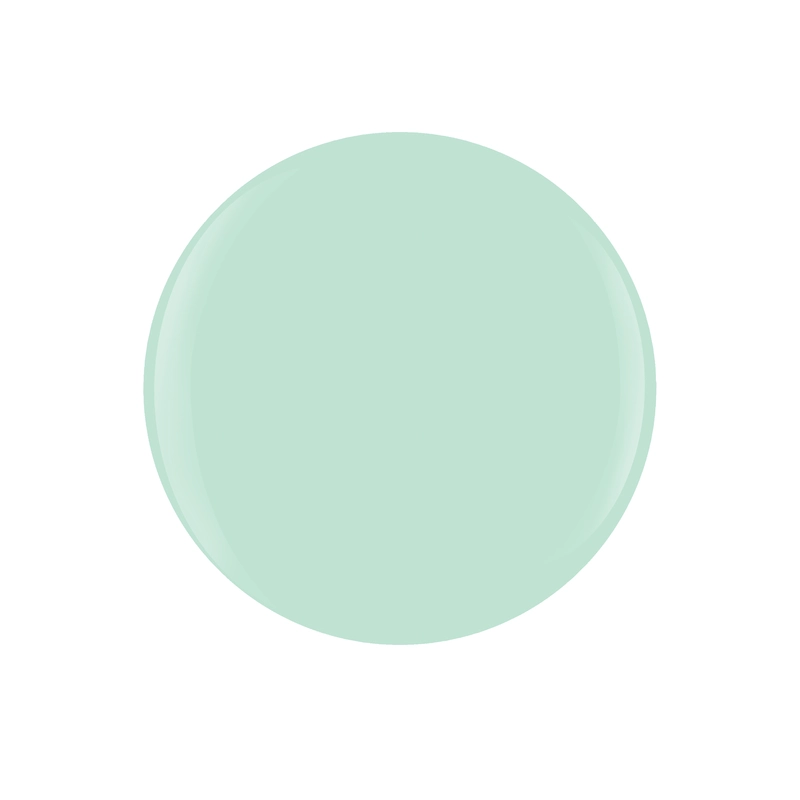 A circular shape filled with a light mint green color against a white background, reminiscent of the hues from the Gelish Solid Cream Gel Polish 6pc Palette - Pretty Pastels.