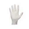 A single Shamrock Latex Powder Free Glove is showcased against a plain white background, with the palm facing forward and the fingers extended.